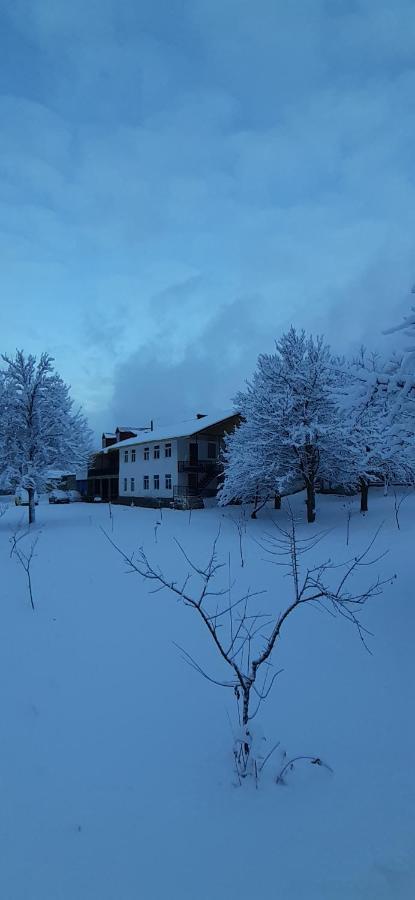Guest House Tavaduri Μέστια Εξωτερικό φωτογραφία
